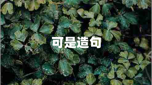 可是造句