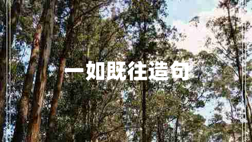 一如既往造句 一如既往造句