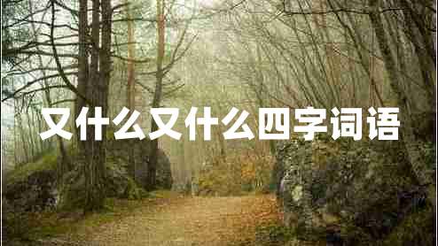 又什么又什么四字詞語