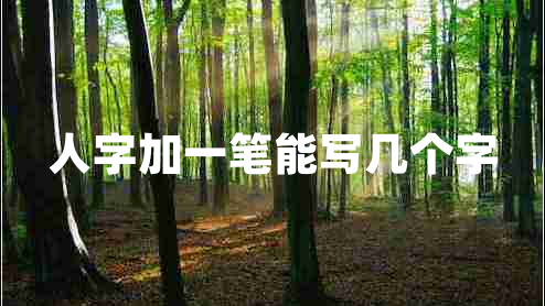 人字加一筆能寫幾個(gè)字