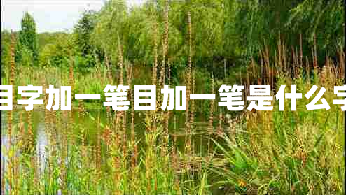 目字加一筆目加一筆是什么字
