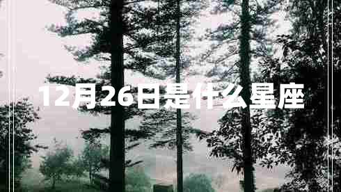 12月26日是什么星座 12月26日是什么星座