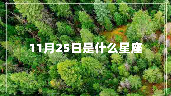11月25日是什么星座