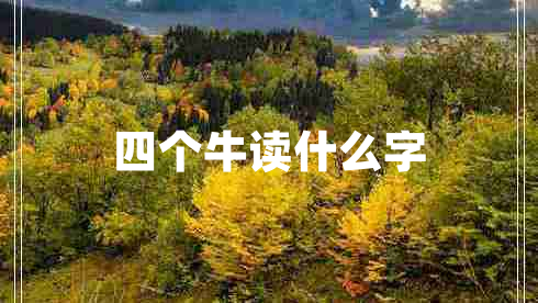 四個(gè)牛讀什么字