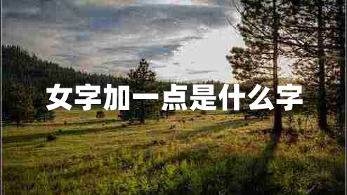 女字加一點(diǎn)是什么字