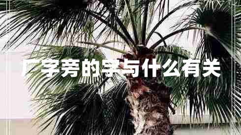 廠字旁的字與什么有關(guān)