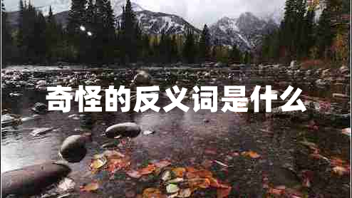 奇怪的反義詞是什么