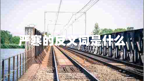 嚴(yán)寒的反義詞是什么