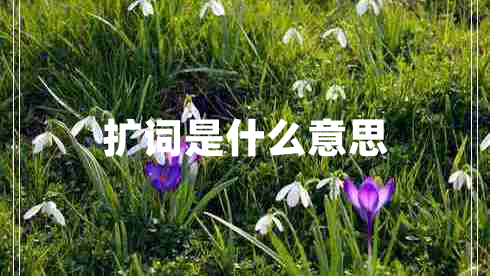 擴(kuò)詞是什么意思