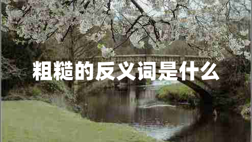 粗糙的反義詞是什么