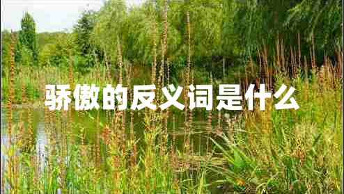 驕傲的反義詞是什么 驕傲的反義詞是什么