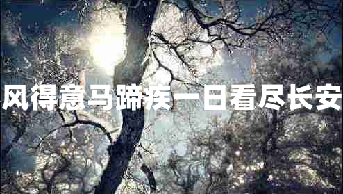 春風(fēng)得意馬蹄疾一日看盡長安花