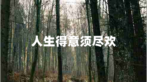 人生得意須盡歡