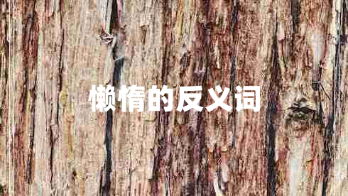懶惰的反義詞 懶惰的反義詞