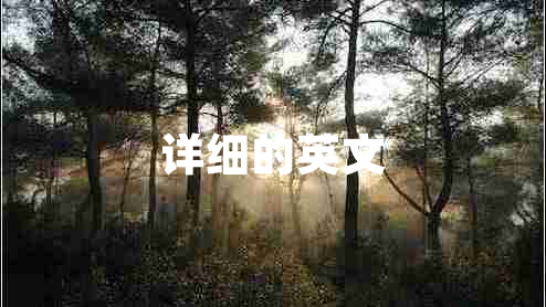 詳細(xì)的英文