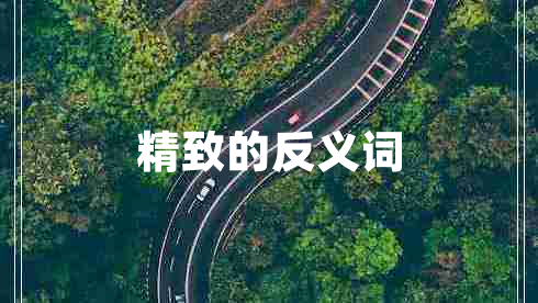 精致的反義詞