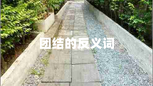 團結(jié)的反義詞 團結(jié)的反義詞