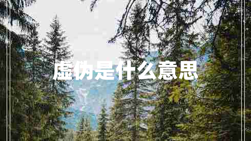 虛偽是什么意思