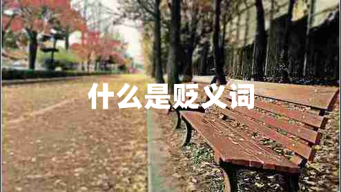 什么是貶義詞 什么是貶義詞