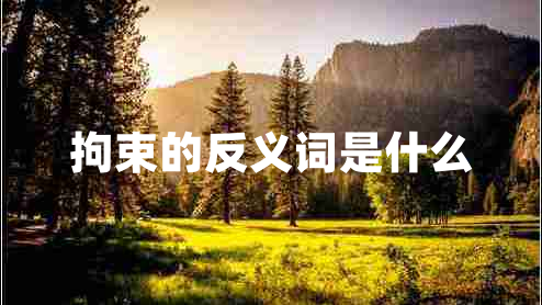 拘束的反義詞是什么