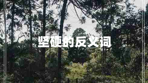 堅(jiān)硬的反義詞