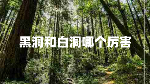 黑洞和白洞哪個厲害