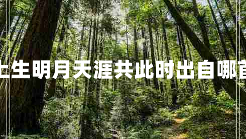 海上生明月天涯共此時(shí)出自哪首詩(shī)