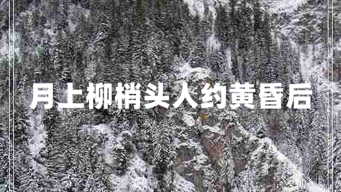 月上柳梢頭人約黃昏后