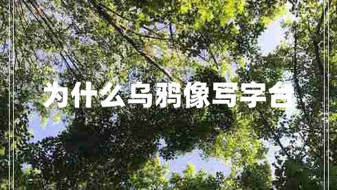 為什么烏鴉像寫字臺