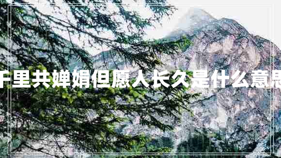 千里共嬋娟但愿人長久是什么意思