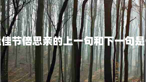 每逢佳節(jié)倍思親的上一句和下一句是什么