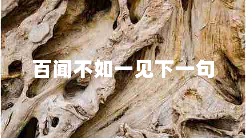 百聞不如一見下一句