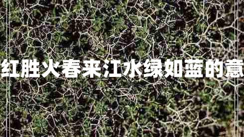 日出江花紅勝火春來江水綠如藍的意思是什么