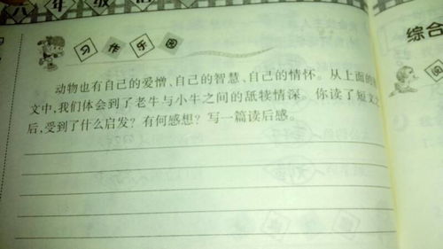 校園反恐作文250字