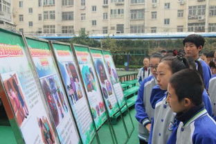 創(chuàng)建綠色文明校園作文,綠色上網(wǎng),文明校園作文,綠色共享文明校園作文800字