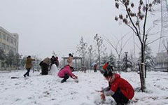 不下雪冬天校園的作文