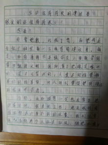 校園我從這里起航作文600字左右