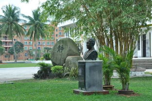 校園的一角寫(xiě)景色作文400字作文400字作文