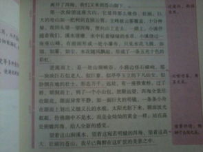 校園一作文春夏秋冬350字