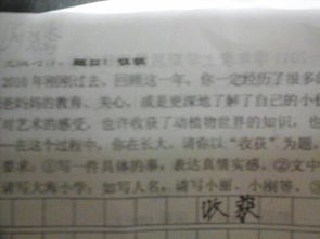 桃樹(shù),作文,校園