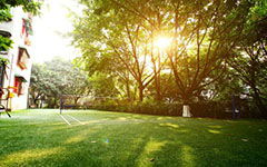 校園花園作文200字左右