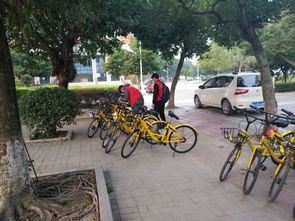 作文,校園行,文明