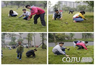 我愛校園的草坪作文