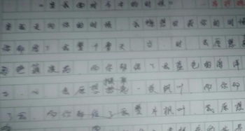 校園之晨作文650字