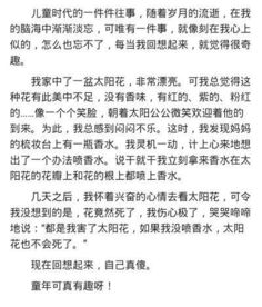 留在往昔的記憶作文300字校園