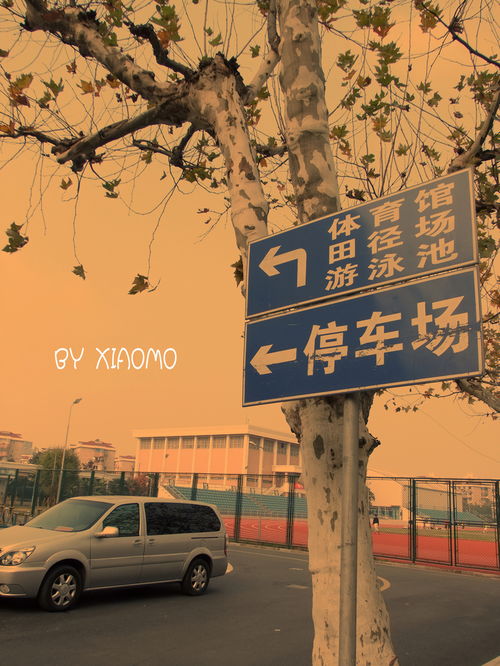 校園印象大學(xué)作文