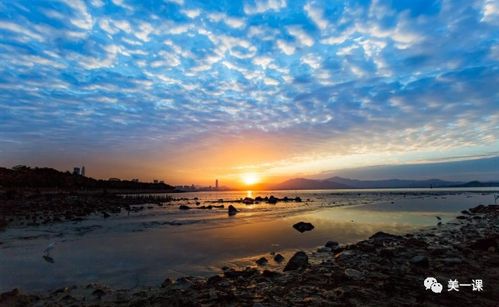 描寫(xiě)校園景色的優(yōu)美語(yǔ)句作文