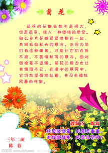 校園的菊花作文400字作文