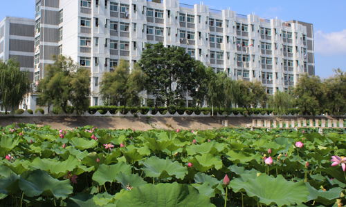 夏日校園的作文二級