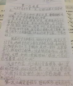 校園外貌作文450字